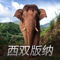 广州将迎多场重磅体育活动！羊城5月，赛事盛宴，活力拉满